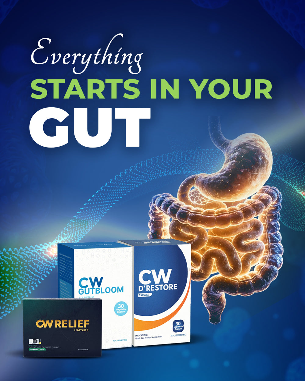 CW Essentials gut health and digestive wellness supplements —
Curatio Health Malaysia