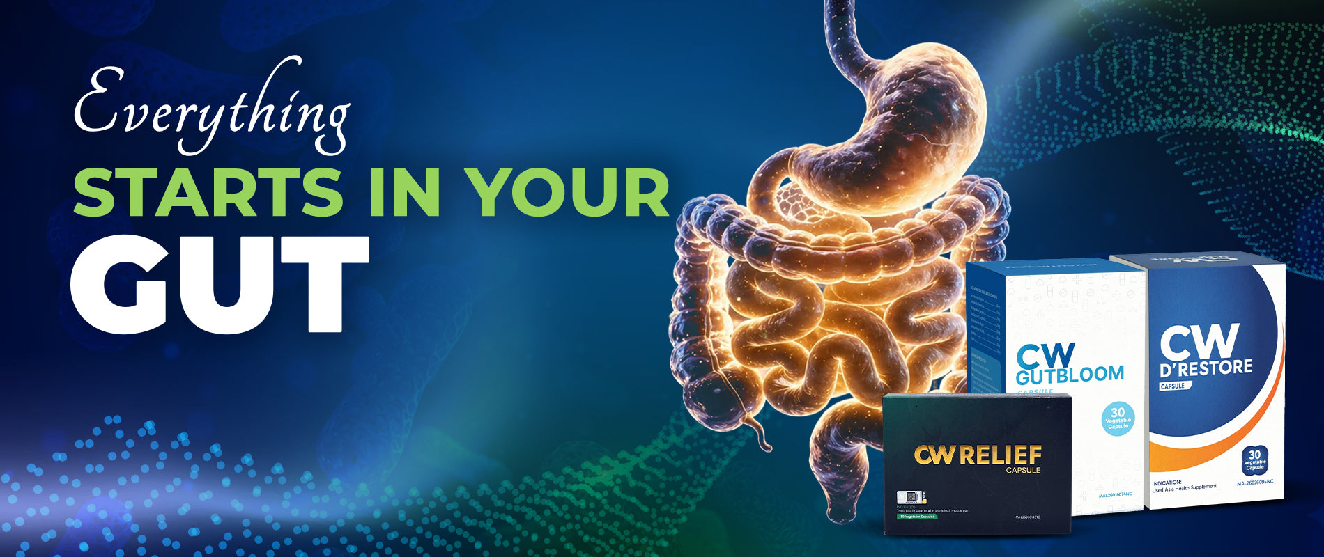 CW Essentials gut health and digestive wellness supplements —
Curatio Health Malaysia