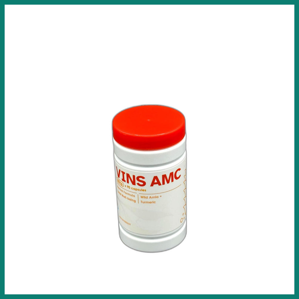 Thiallan Bioherbs VINS AMC Wild Amla + Turmeric 90s — Curatio Health Malaysia